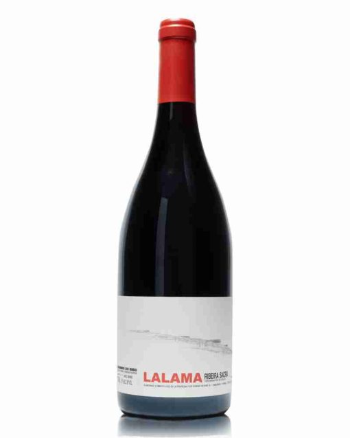 lalama red ribeira sacra dominio do bibei shelved wine