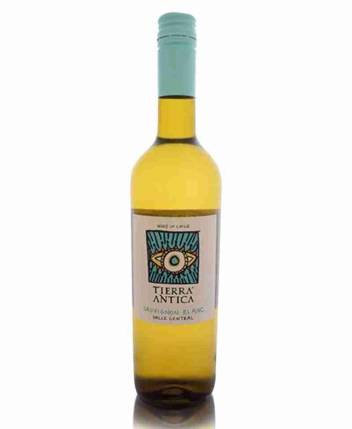sauvignon blanc tierra antica shelved wine