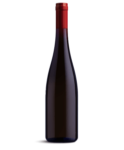 Familia de Vinos Organic Pinot Grigio Pacheco Pereda 2022 - Shelved Wine
