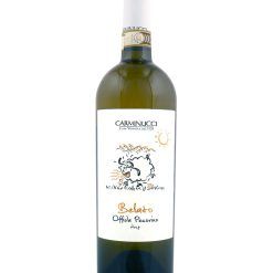 pecorino-belato-offida-carminucci-shelved-wine