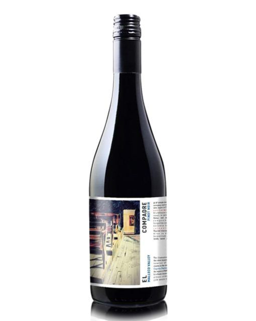 pinot-noir-el-compadre-vina-echeverria-shelved-wine
